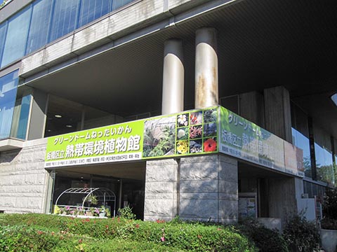 板橋区立熱帯環境植物館の写真